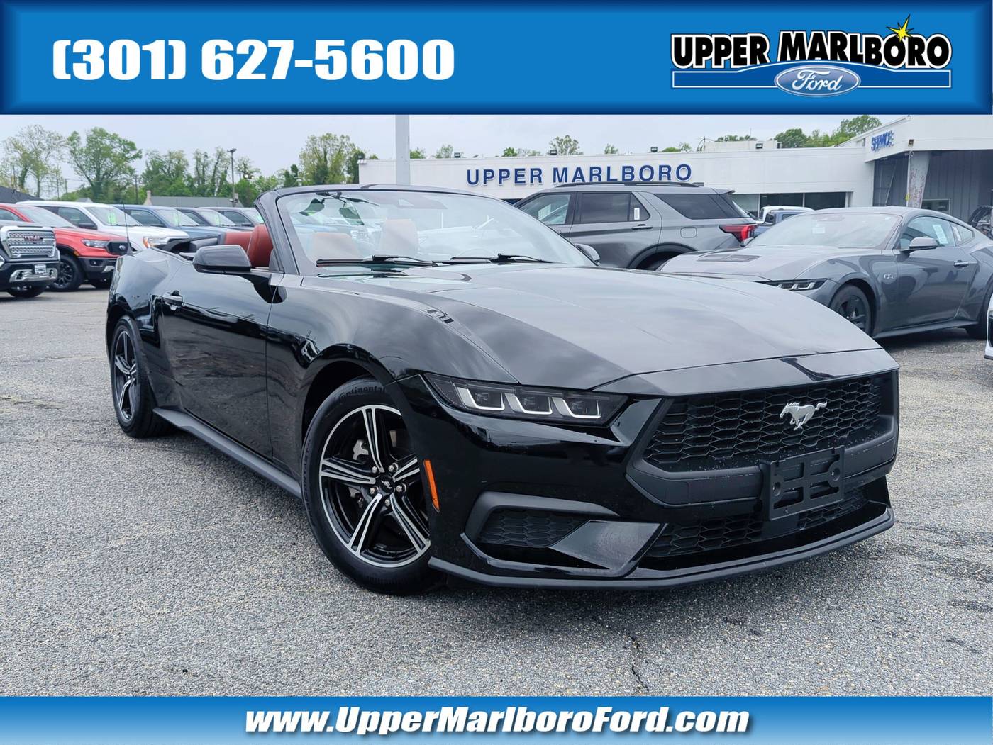 2024 Ford Mustang EcoBoost Premium — Convertible — 27,448 mi — Upper Marlboro, MD