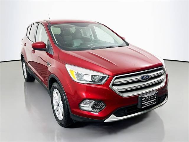 2019 Ford Escape SE — SUV — 79,849 mi — Belleville, IL