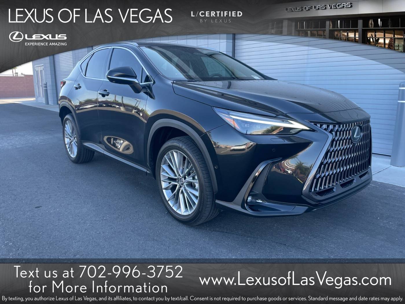 2023 Lexus NX NX 350h Luxury — SUV — 2,555 mi — Las Vegas, NV