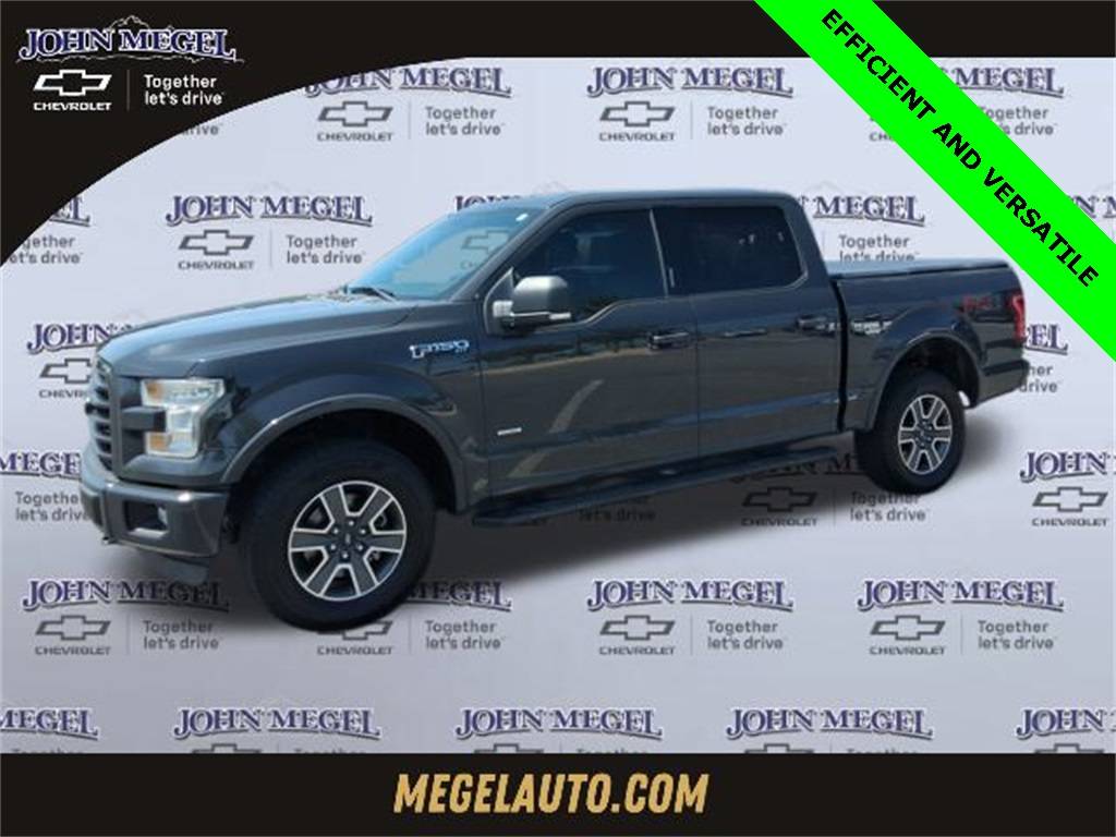 2016 Ford F-150 XLT — Pickup Truck — 207,003 mi — Dawsonville, GA