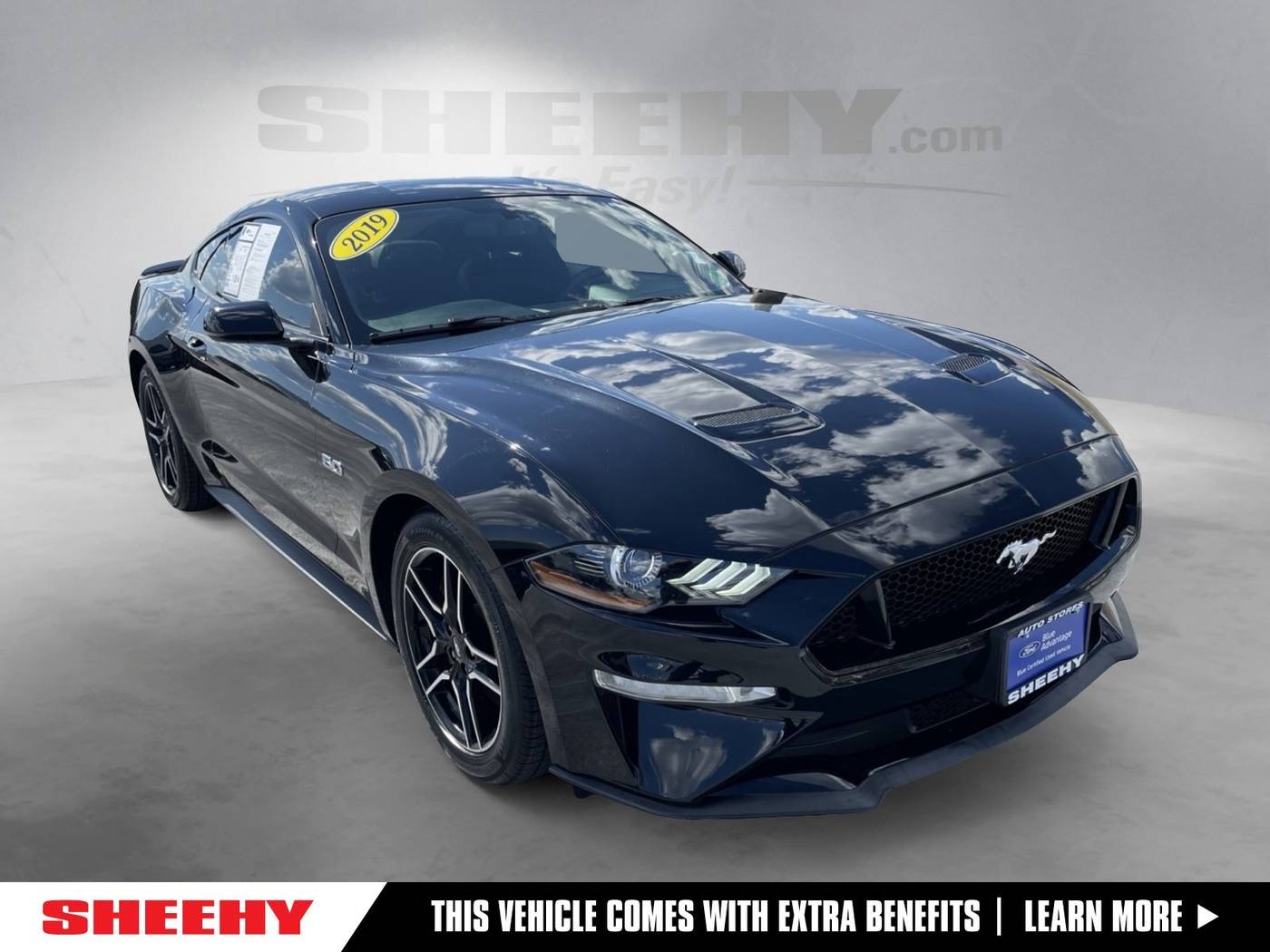 2019 Ford Mustang GT Premium — Coupe — 26,060 mi — Springfield, VA