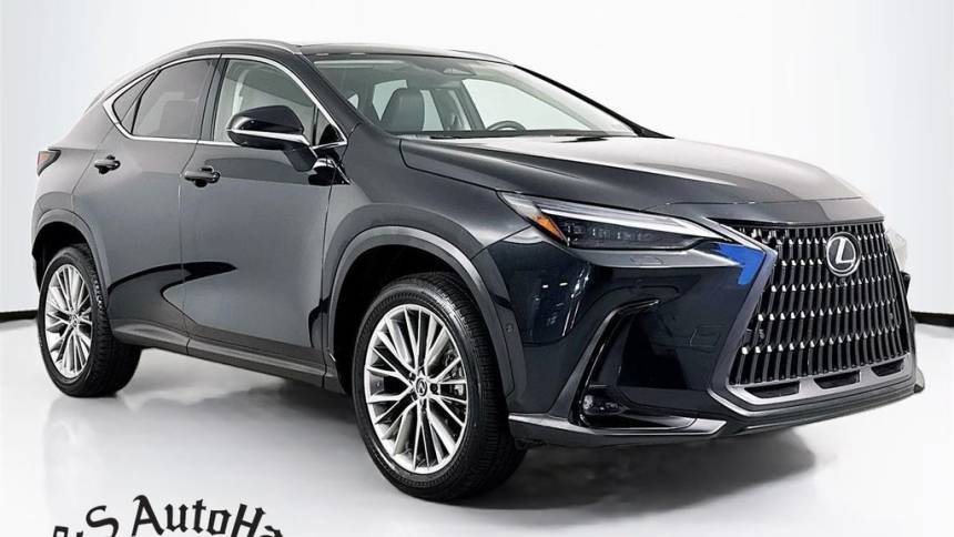 2024 Lexus NX 350h Luxury