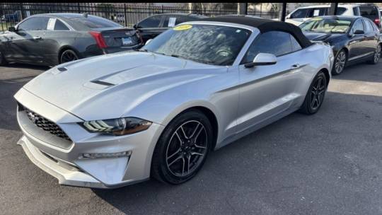 2019 Ford Mustang EcoBoost Premium — Convertible — 98,035 mi — Jacksonville, FL