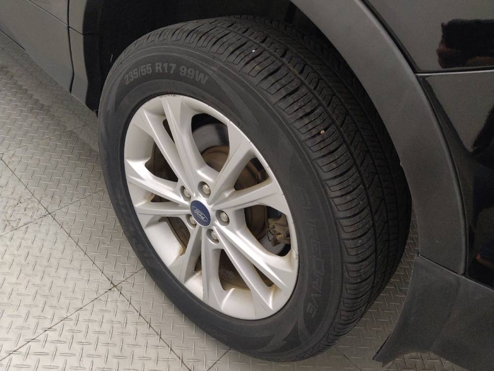 Photo 31
