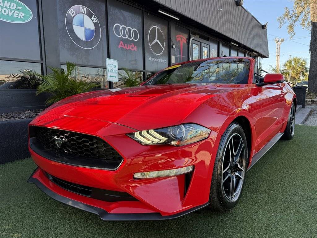2019 Ford Mustang EcoBoost Premium — Convertible — 77,253 mi — Tampa, FL