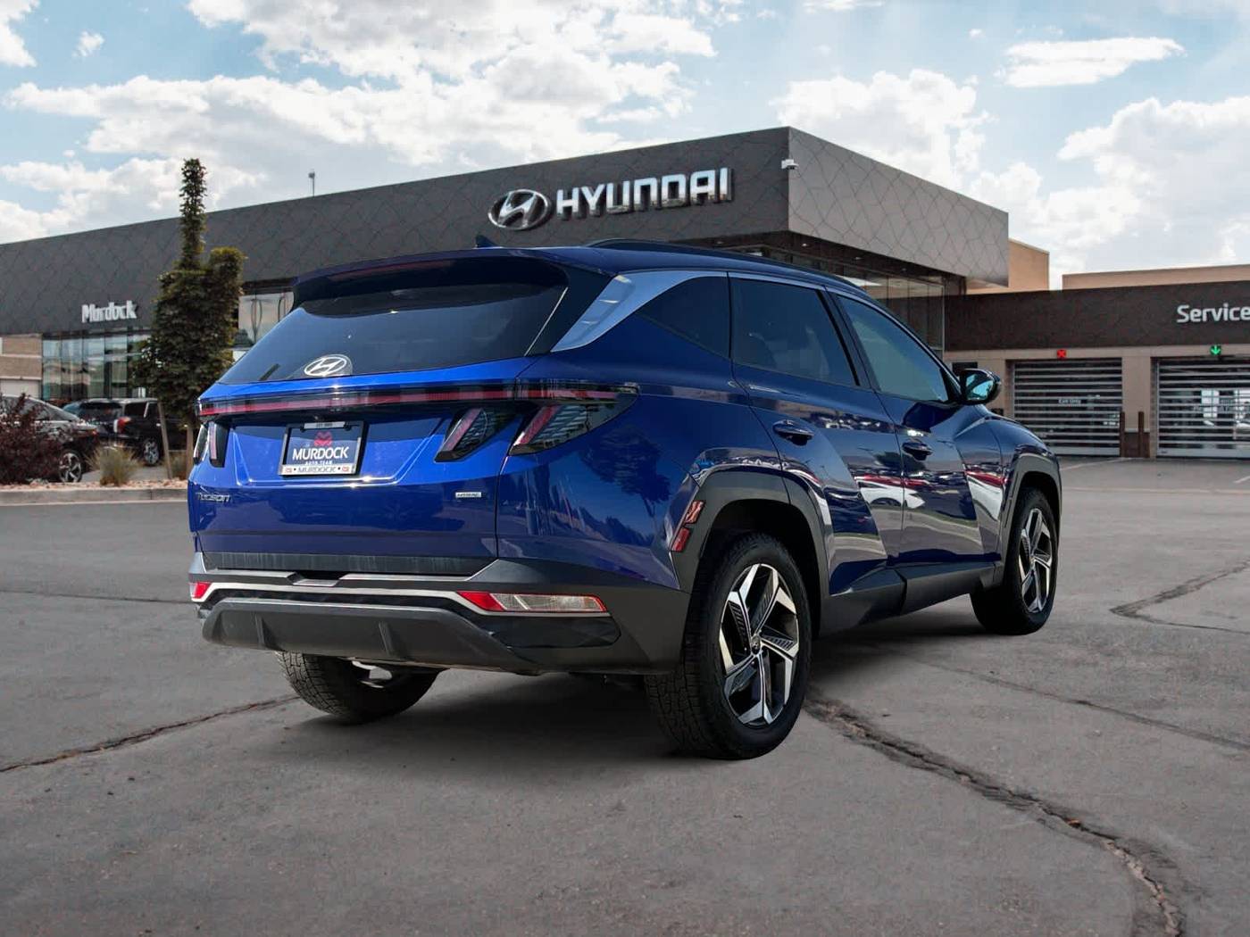 Thumbnail 5