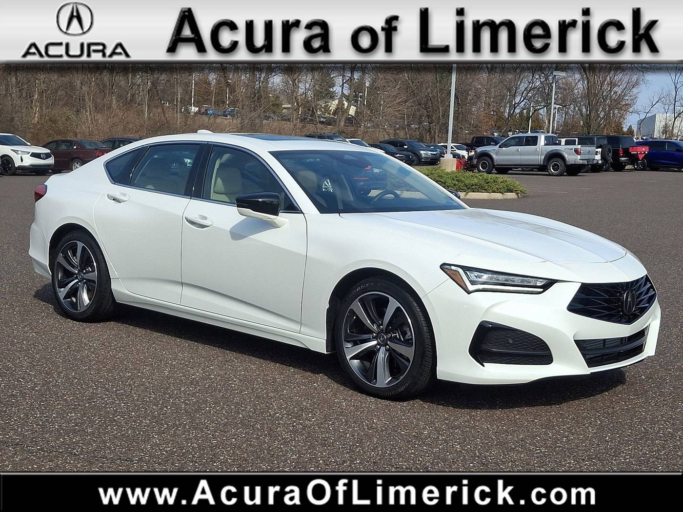 2024 Acura TLX Technology Package — Sedan — 4,450 mi — Royersford, PA