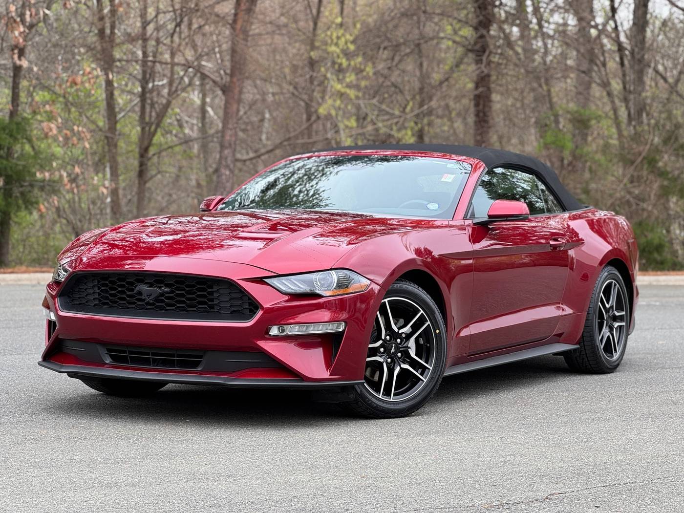 2019 Ford Mustang EcoBoost Premium — Convertible — 29,888 mi — Charlotte, NC