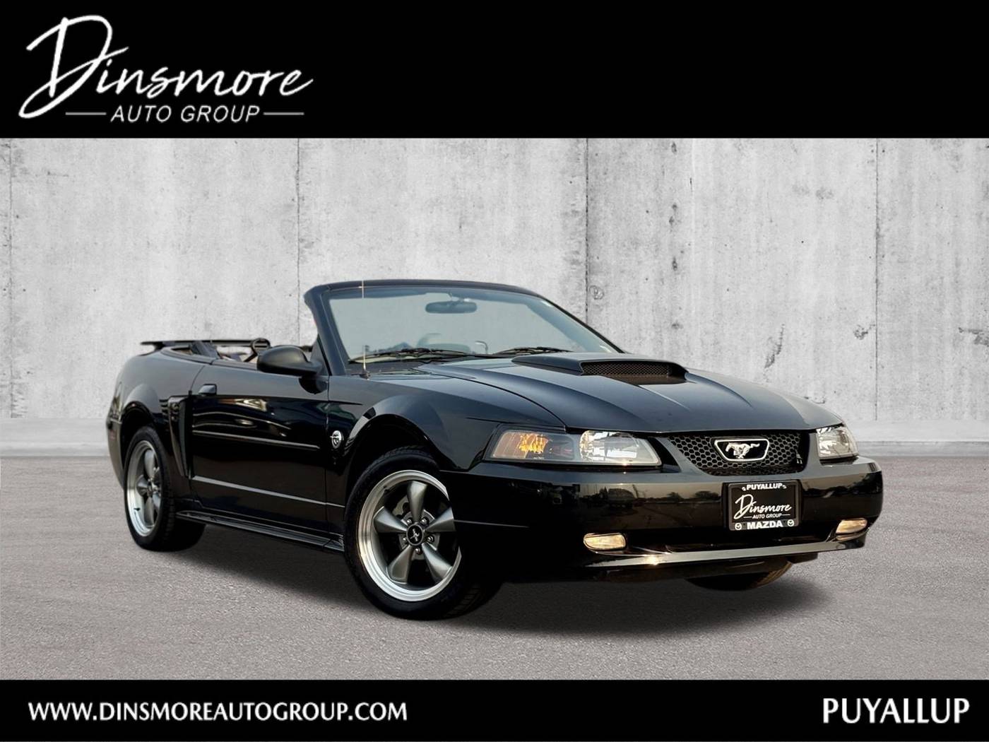2004 Ford Mustang GT Deluxe — Convertible — 30,356 mi — Puyallup, WA