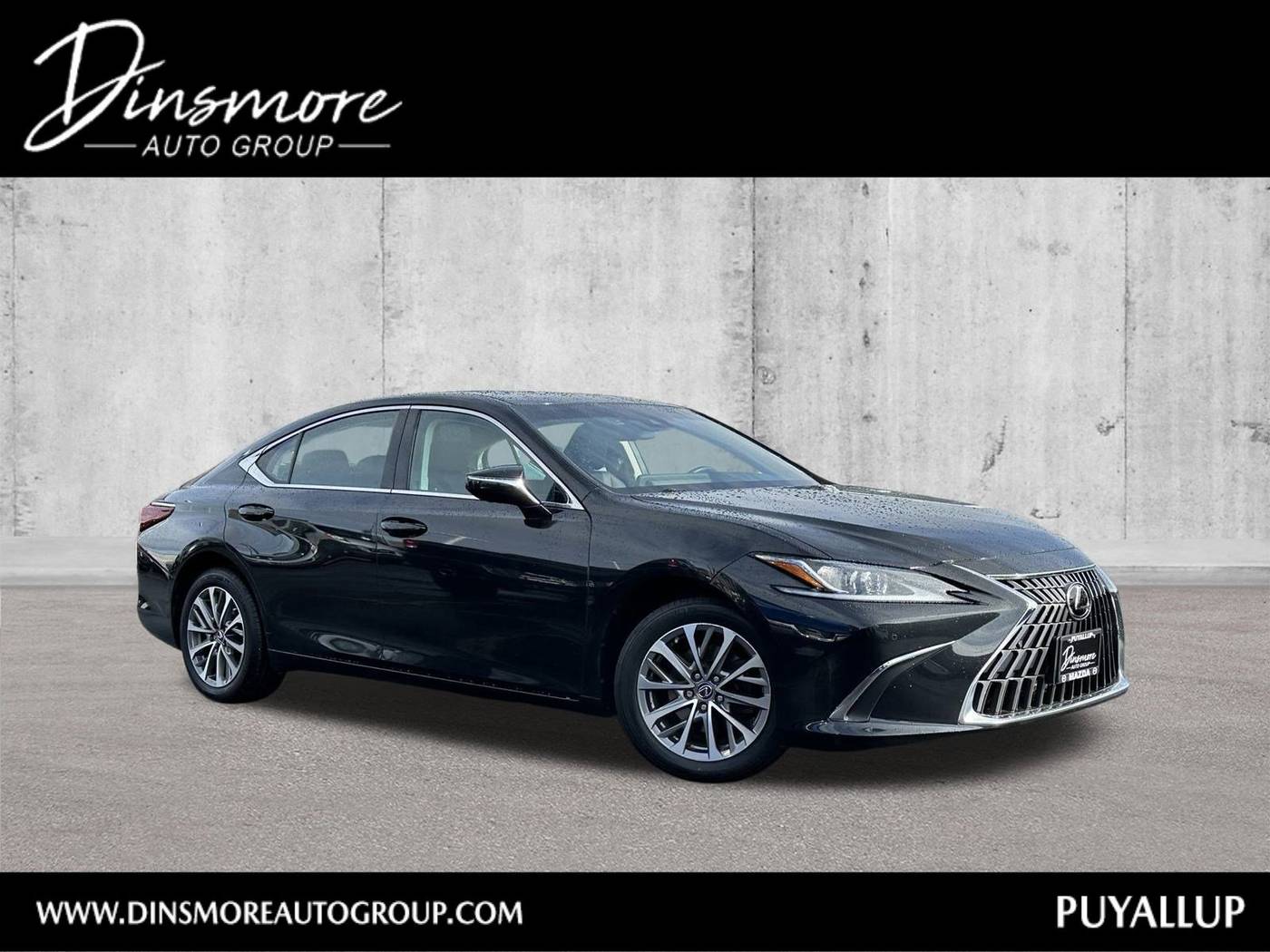2022 Lexus ES ES 250 — Sedan — 10,727 mi — Puyallup, WA