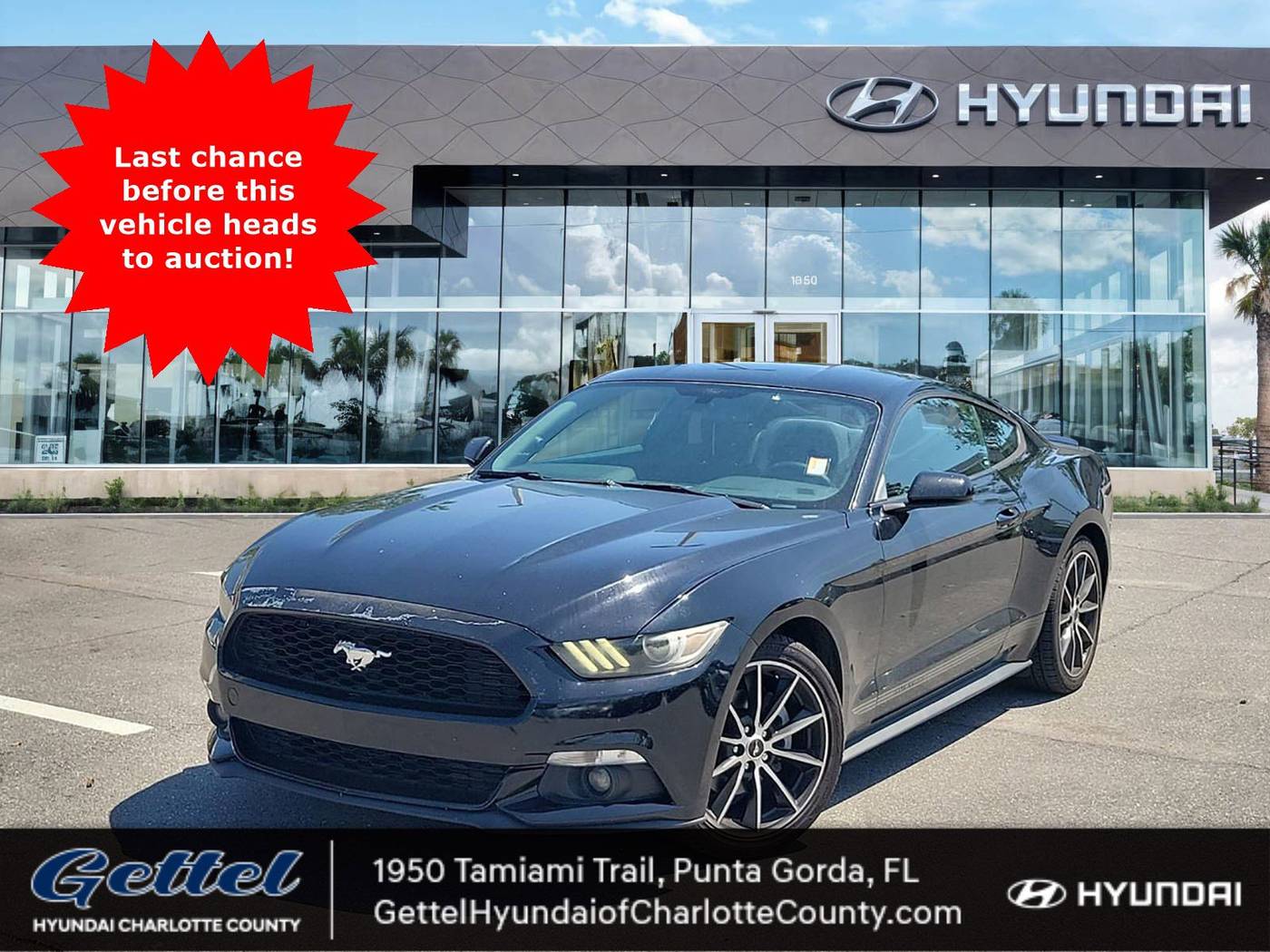 2016 Ford Mustang EcoBoost — Coupe — 81,909 mi — Punta Gorda, FL