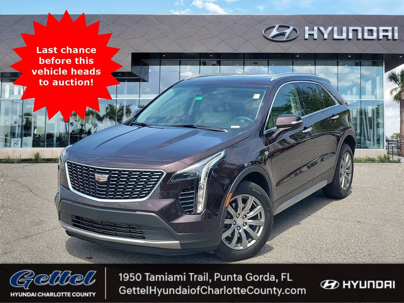 2021 Cadillac XT4 Premium Luxury — SUV — 66,571 mi — Punta Gorda, FL