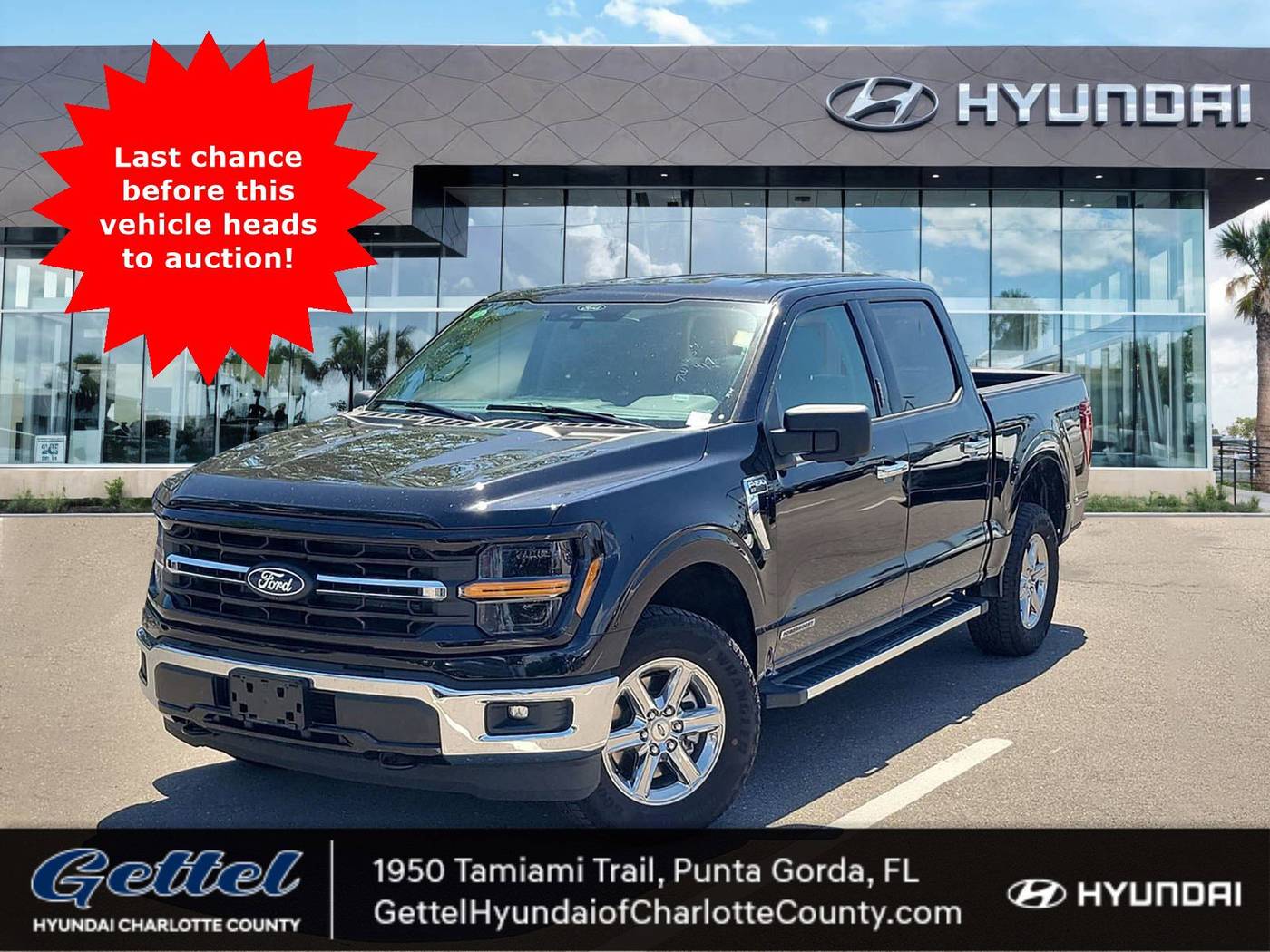 2024 Ford F-150 XLT — Pickup Truck — 32,605 mi — Punta Gorda, FL