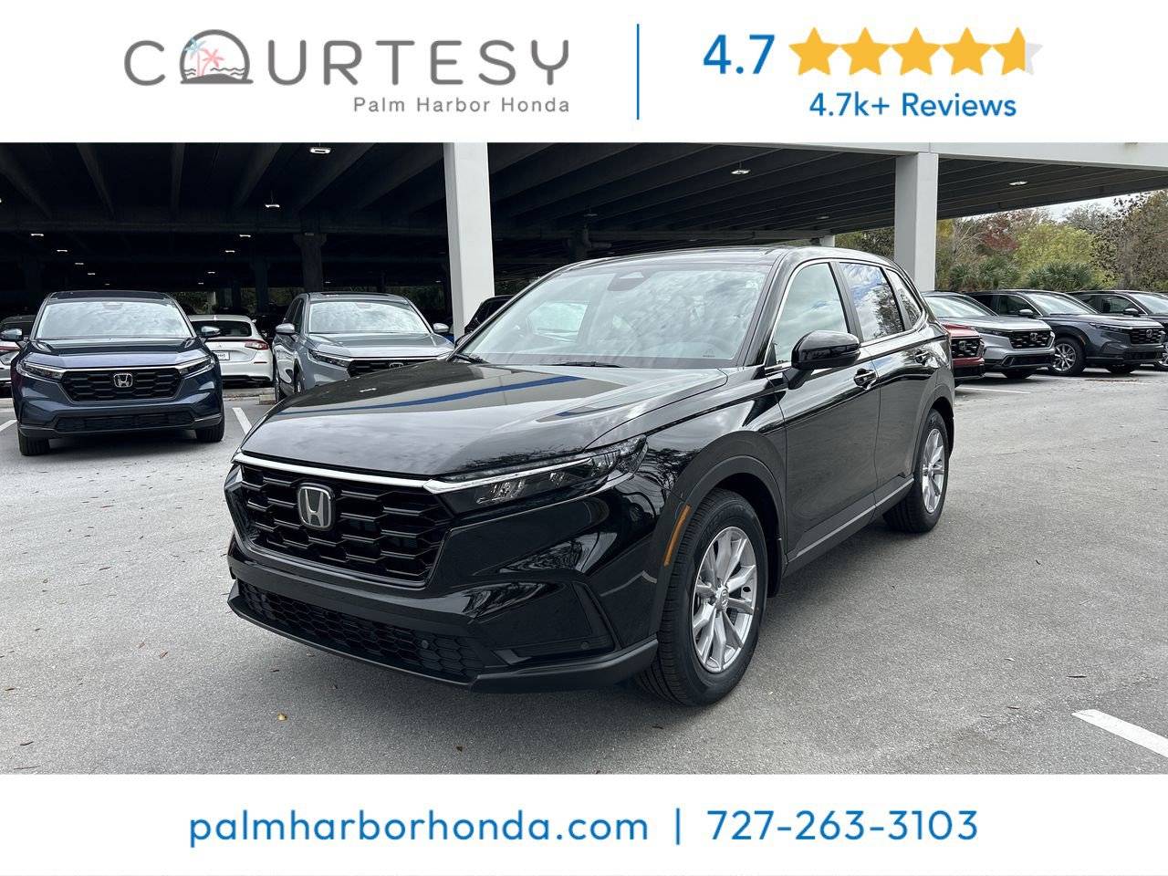 2024 Honda CR-V EX-L — SUV — 24,681 mi — Palm Harbor, FL
