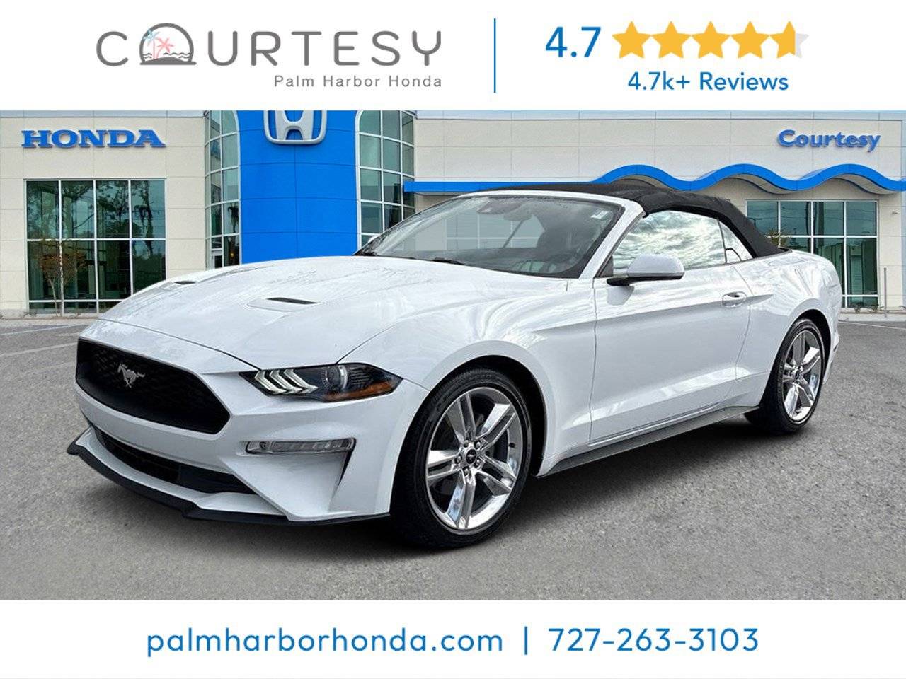 2021 Ford Mustang EcoBoost Premium — Convertible — 13,296 mi — Palm Harbor, FL