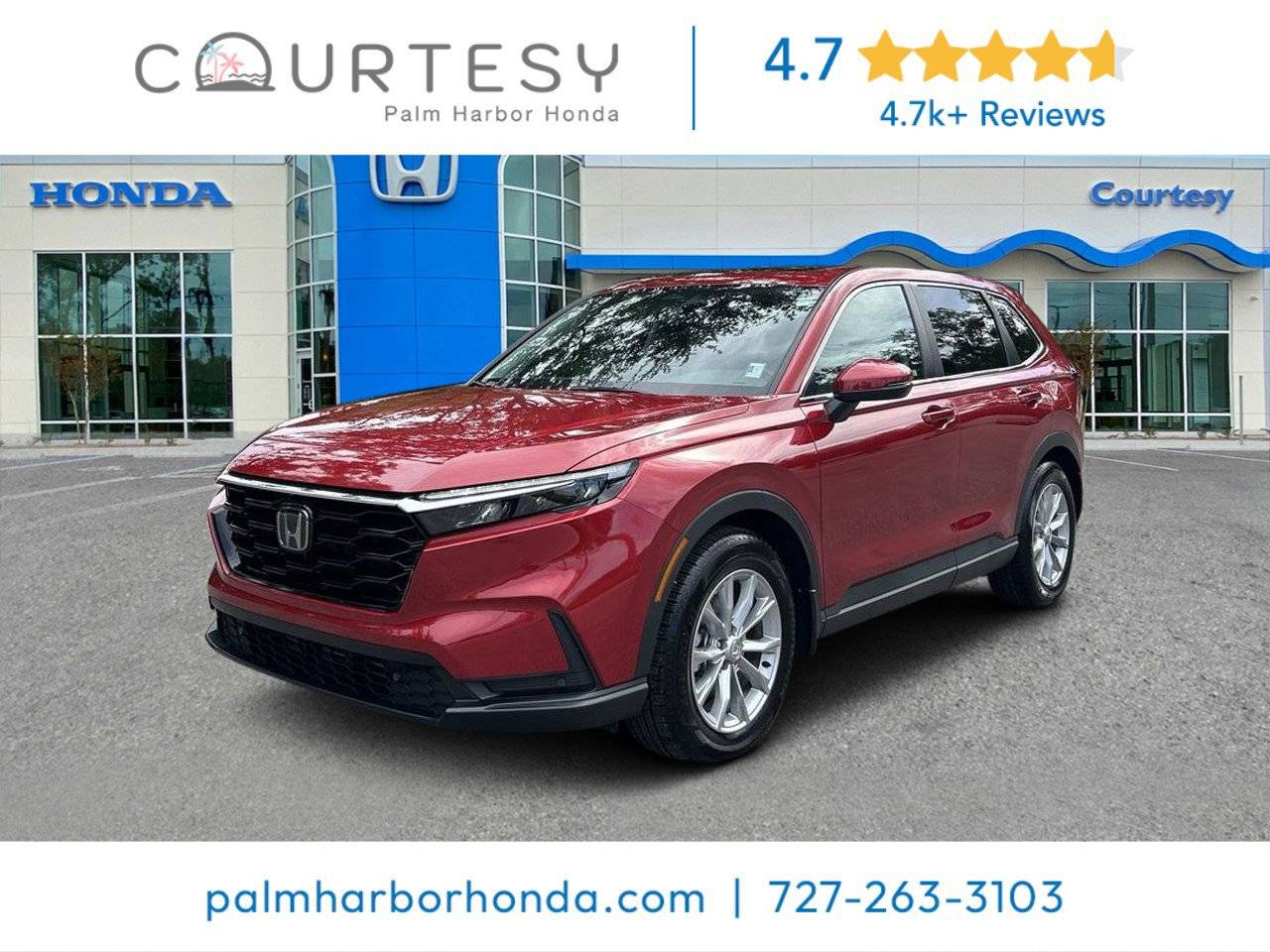 2023 Honda CR-V EX-L — SUV — 1,277 mi — Palm Harbor, FL