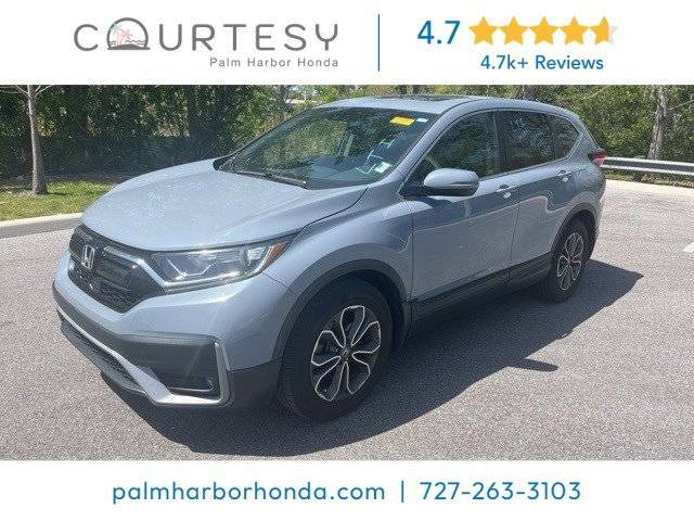 2022 Honda CR-V EX-L — SUV — 22,509 mi — Palm Harbor, FL