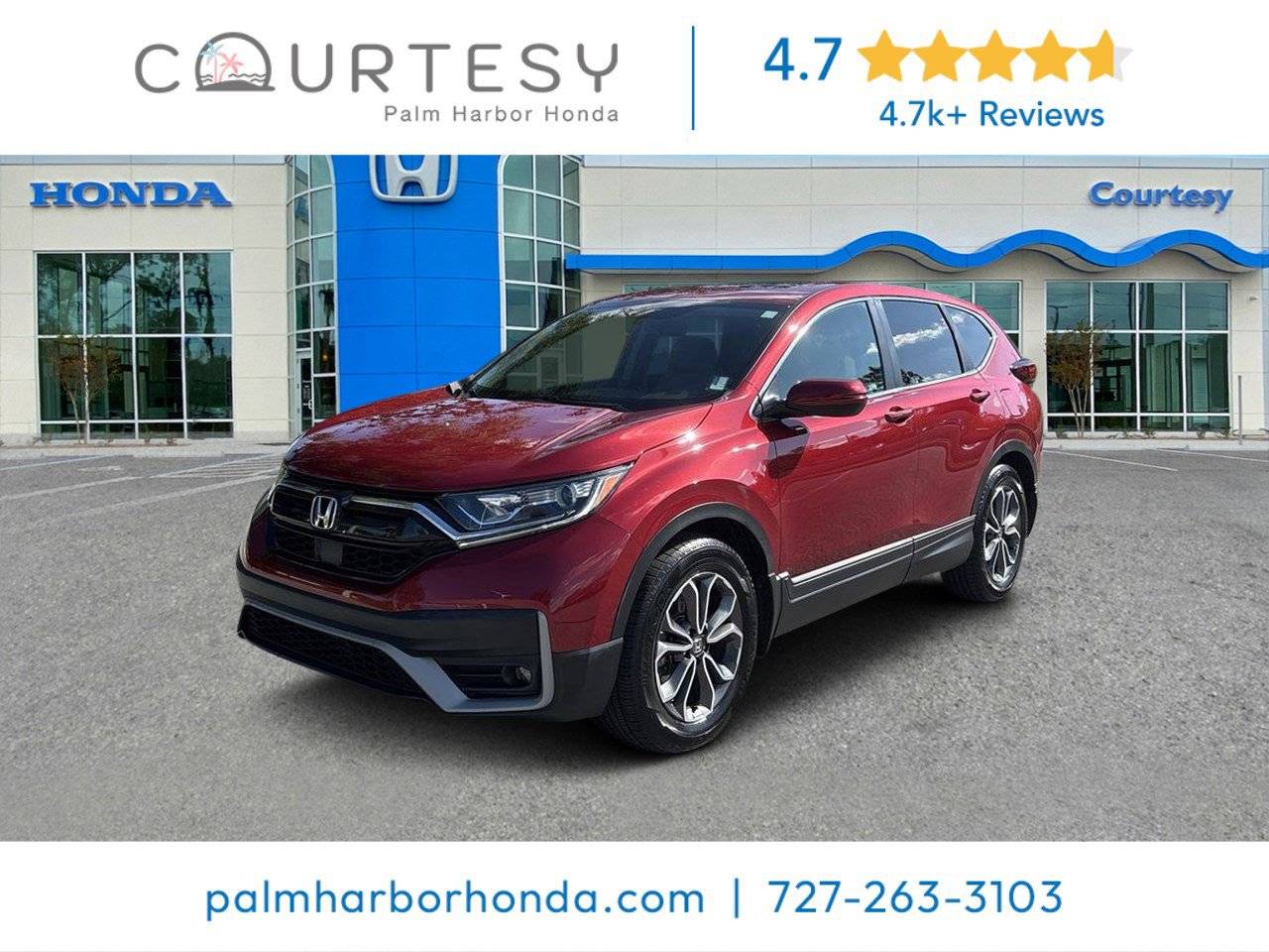 2022 Honda CR-V EX-L — SUV — 31,199 mi — Palm Harbor, FL