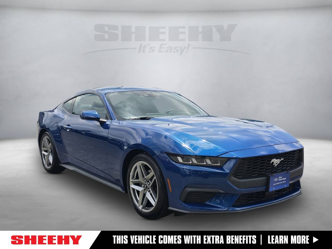 2024 Ford Mustang EcoBoost — Coupe — 2,112 mi — Gaithersburg, MD