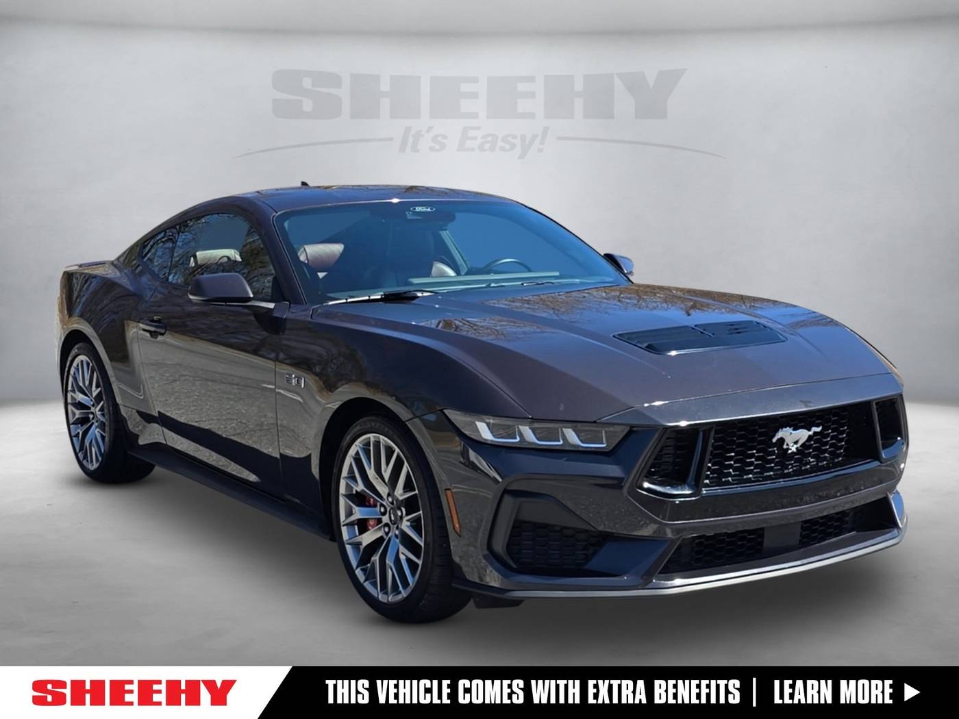 2024 Ford Mustang GT Premium — Coupe — 24,861 mi — Gaithersburg, MD