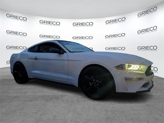 2023 Ford Mustang EcoBoost — Coupe — 12,581 mi — Delray Beach, FL
