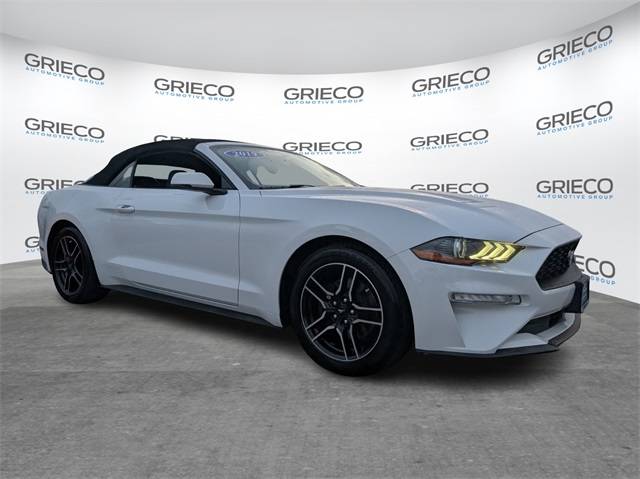 2019 Ford Mustang EcoBoost — Convertible — 95,950 mi — Delray Beach, FL