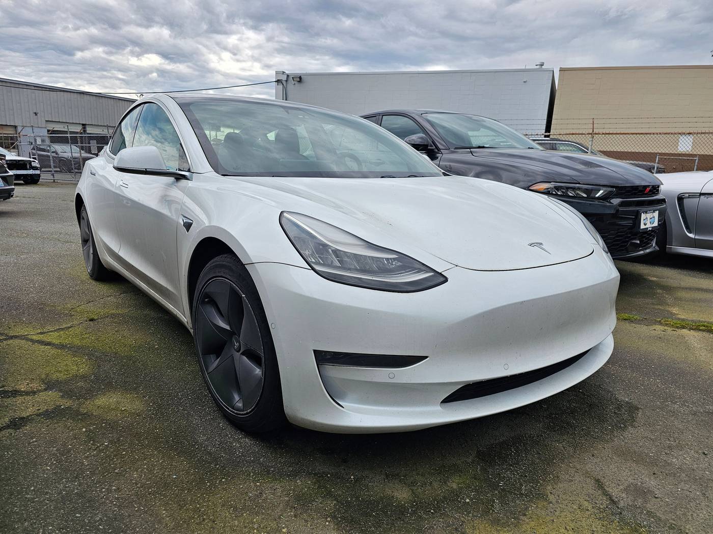 2019 Tesla Model 3 Long Range — Sedan — 33,510 mi — Seattle, WA