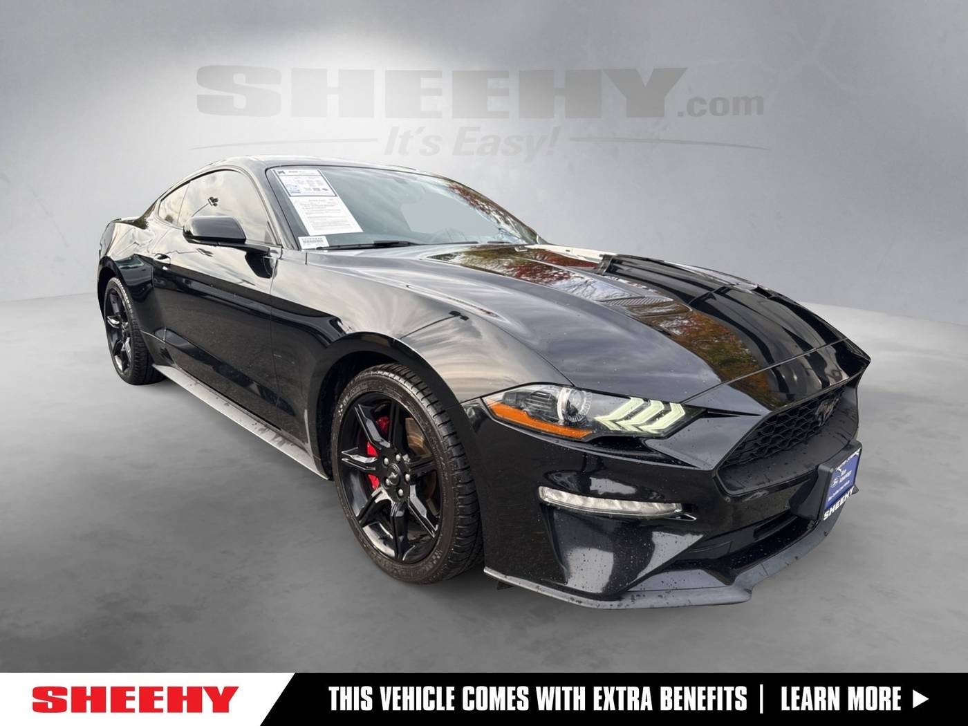 2020 Ford Mustang EcoBoost — Coupe — 86,730 mi — Warrenton, VA