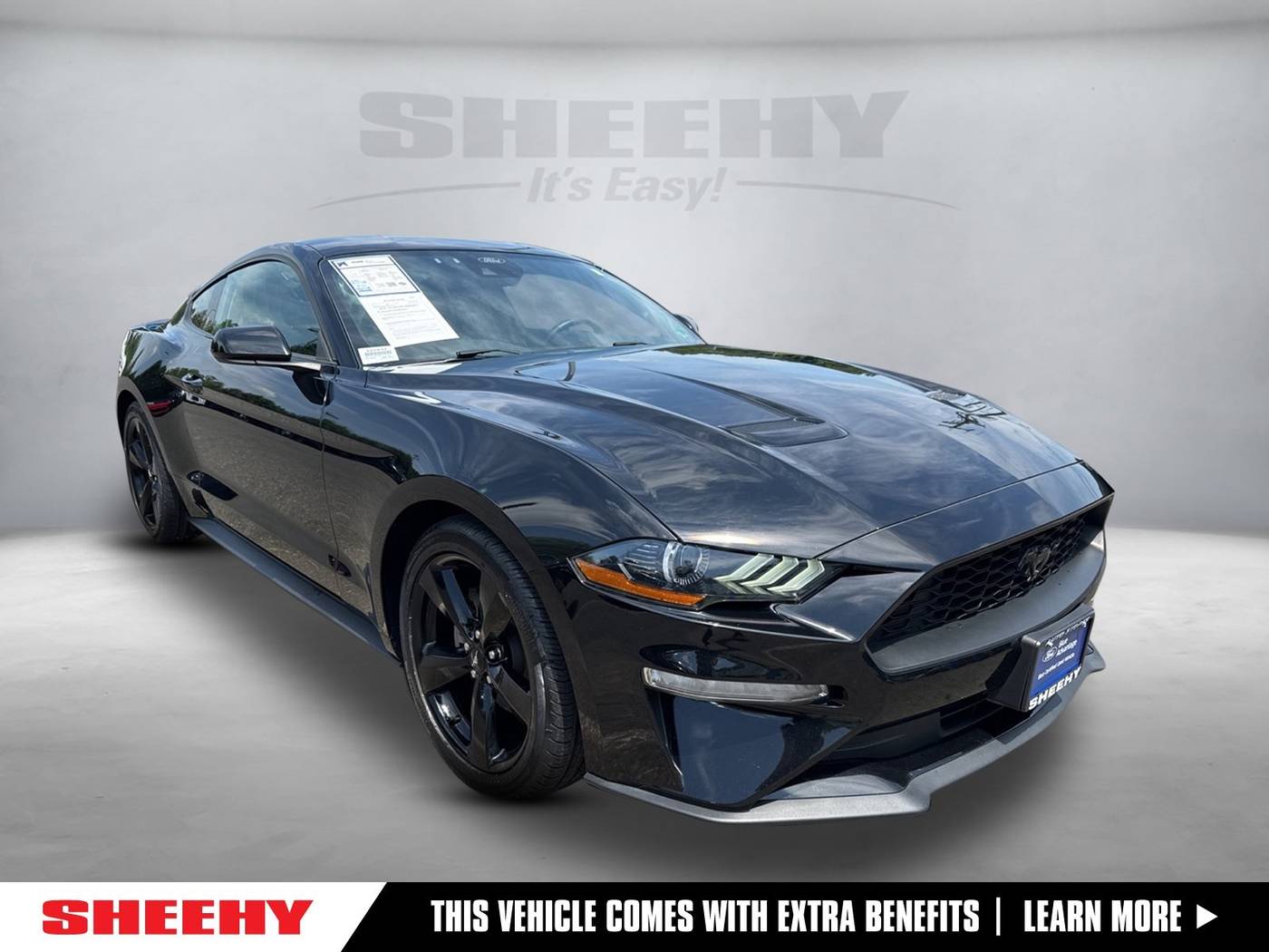 2022 Ford Mustang EcoBoost — Coupe — 44,468 mi — Warrenton, VA