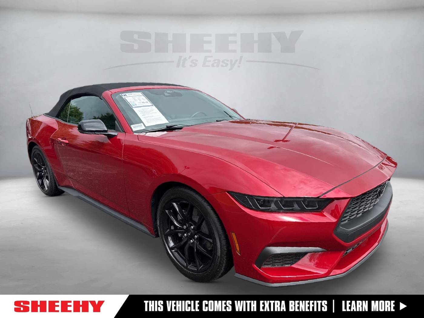2024 Ford Mustang EcoBoost Premium — Convertible — 6,719 mi — Warrenton, VA