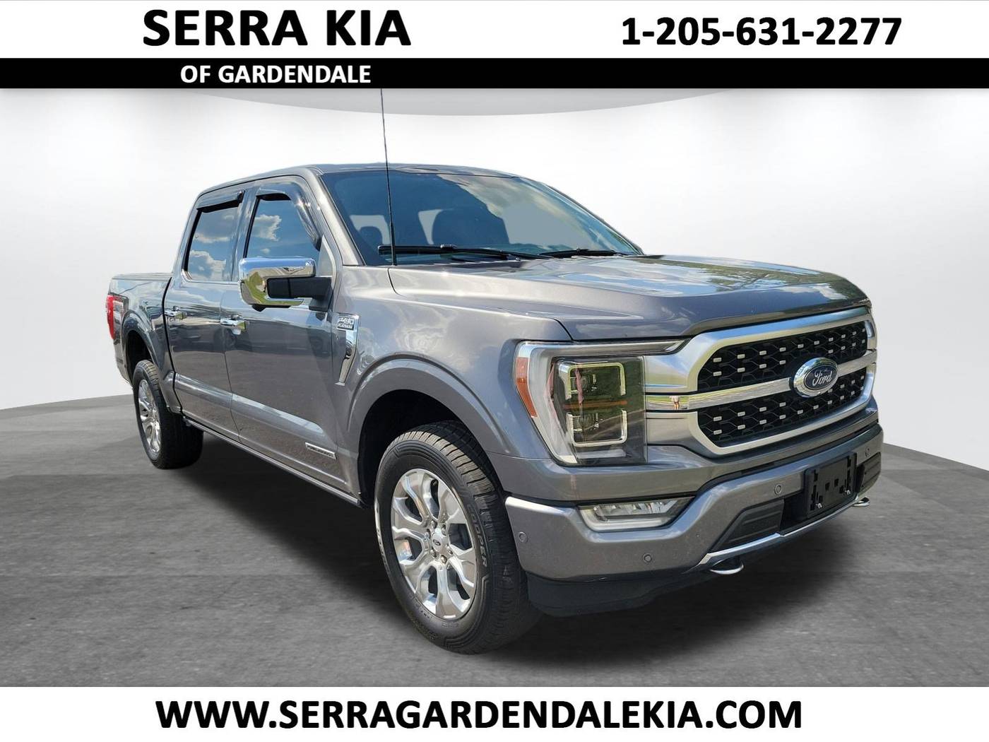 2021 Ford F-150 Platinum — Pickup Truck — 105,456 mi — Gardendale, AL