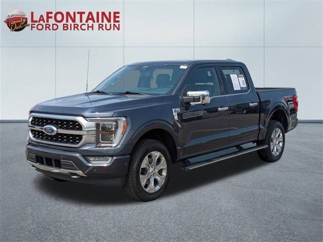 2022 Ford F-150 Platinum — Pickup Truck — 112,996 mi — Birch Run, MI