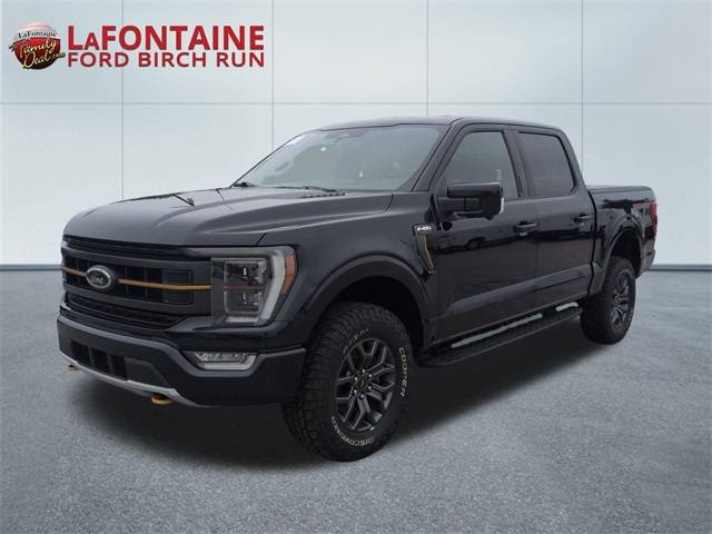 2021 Ford F-150 Tremor — Pickup Truck — 76,400 mi — Birch Run, MI