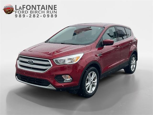 2019 Ford Escape SE — SUV — 38,555 mi — Birch Run, MI
