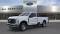 2024 Ford Super Duty F-250 in Hackensack, NJ 1 - Open Gallery