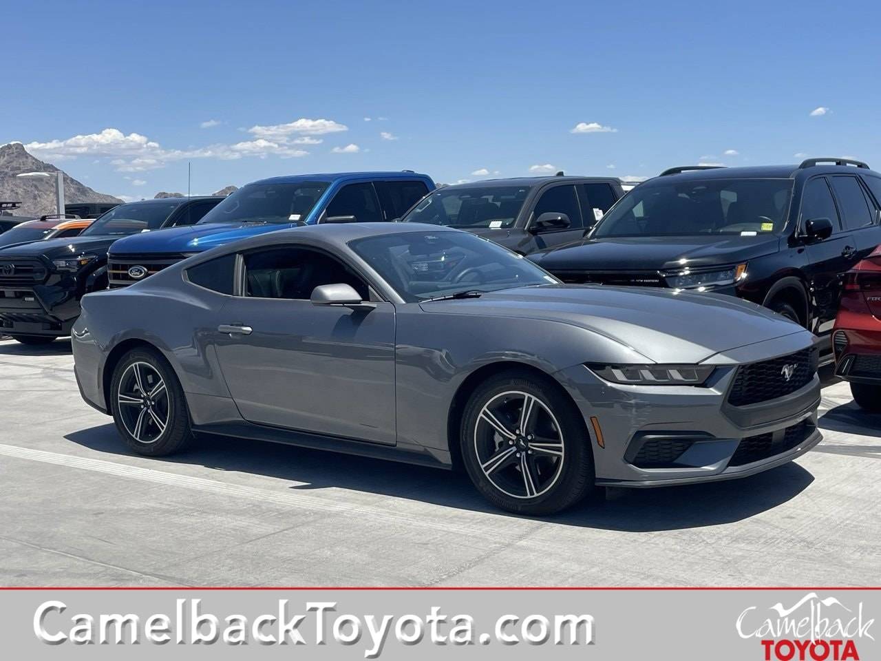2025 Ford Mustang EcoBoost — Coupe — 3,558 mi — Phoenix, AZ