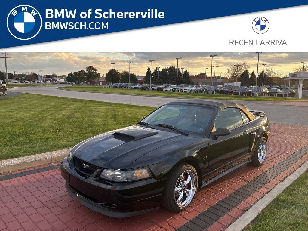 2003 Ford Mustang GT Deluxe — Convertible — 104,818 mi — Schererville, IN