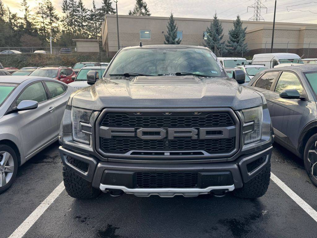 2019 Ford F-150 Raptor