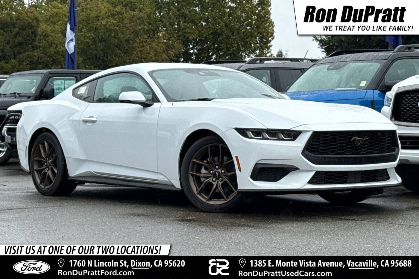 2024 Ford Mustang EcoBoost Premium — Coupe — 41 mi — Dixon, CA