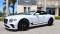 2024 Bentley Continental in Pinellas Park, FL 1 - Open Gallery