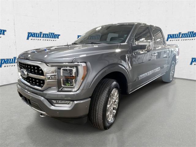 2023 Ford F-150 Platinum — Pickup Truck — 50,000 mi — Lexington, KY