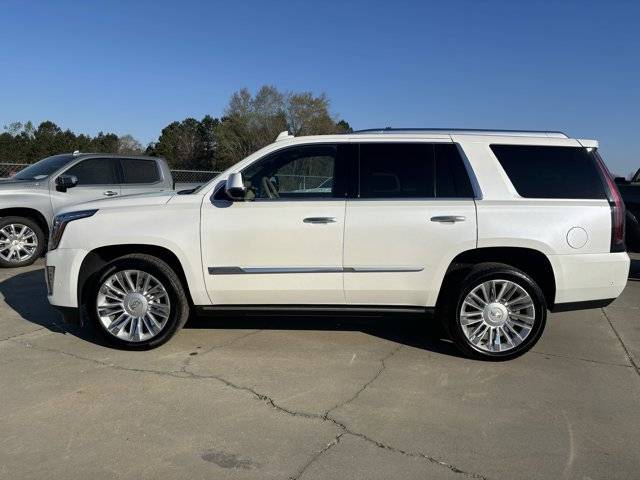 2019 Cadillac Escalade Platinum — SUV — 50,216 mi — Blenheim, SC